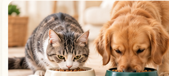 Feeding & Hydration
