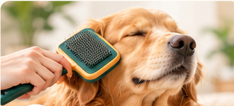 Grooming & Hair Care